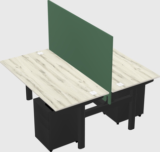 Shared electric desk