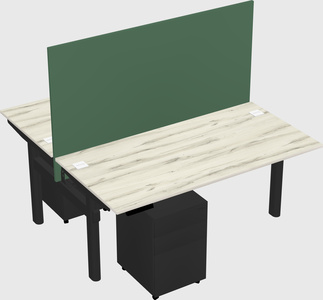 Shared electric desk