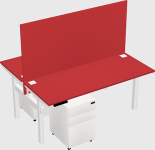 Shared electric desk