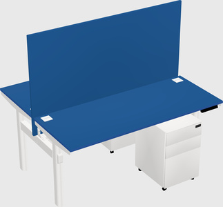 Shared electric desk