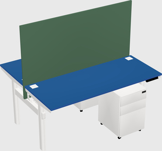 Shared electric desk
