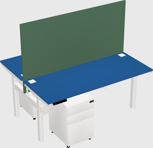 Shared electric desk