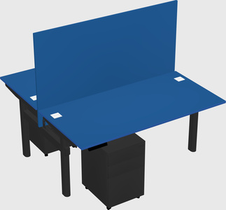 Shared electric desk
