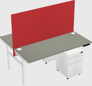 Shared electric desk