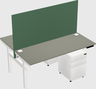Shared electric desk