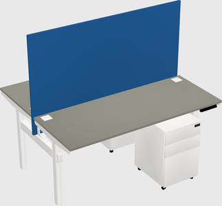Shared electric desk