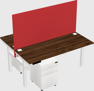 Shared electric desk