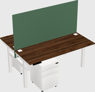 Shared electric desk