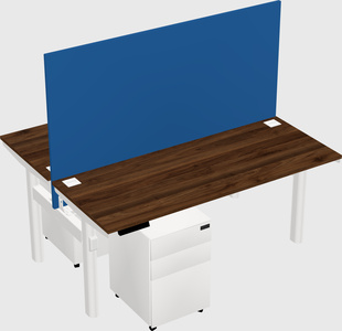 Shared electric desk
