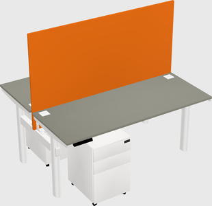 Shared electric desk