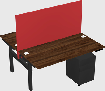 Shared electric desk