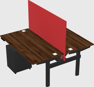 Shared electric desk