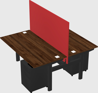 Shared electric desk