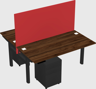 Shared electric desk