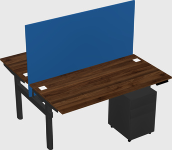 Shared electric desk
