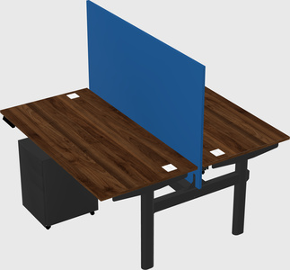 Shared electric desk