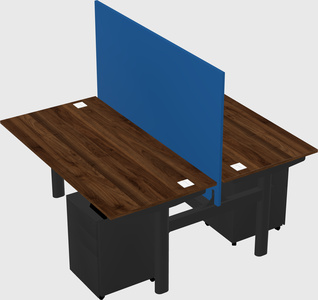 Shared electric desk