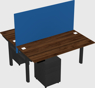 Shared electric desk