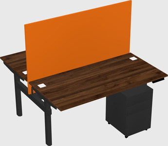 Shared electric desk
