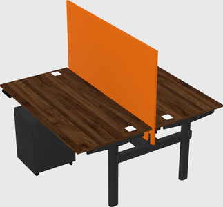 Shared electric desk
