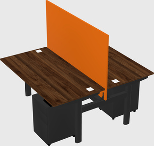 Shared electric desk