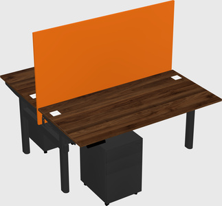 Shared electric desk