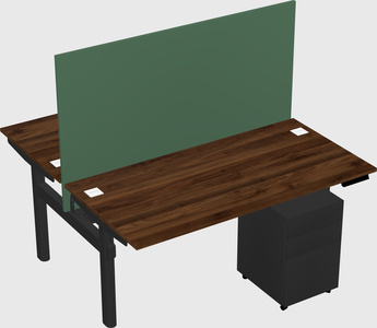 Shared electric desk