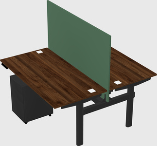 Shared electric desk