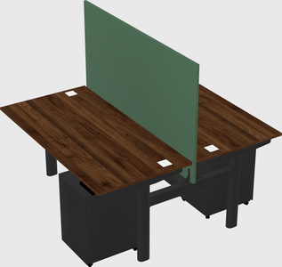 Shared electric desk