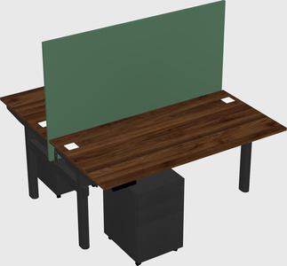 Shared electric desk