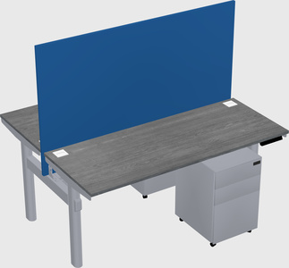Shared electric desk
