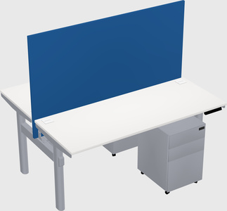 Shared electric desk