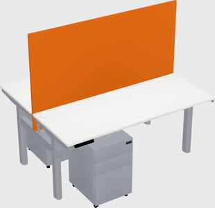 Shared electric desk
