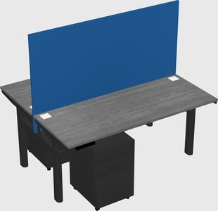 Shared electric desk