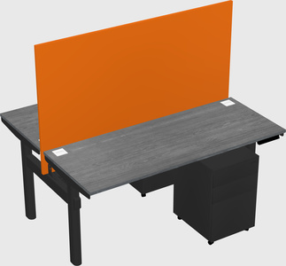 Shared electric desk