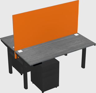 Shared electric desk