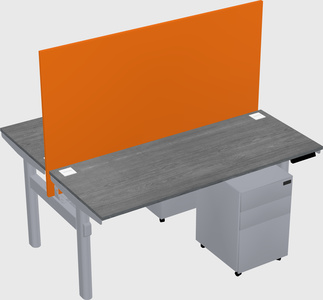 Shared electric desk