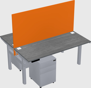 Shared electric desk