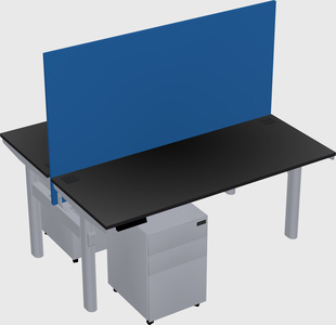Shared electric desk