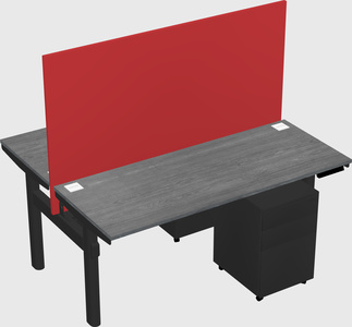Shared electric desk