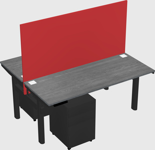 Shared electric desk