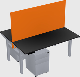 Shared electric desk