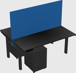 Shared electric desk