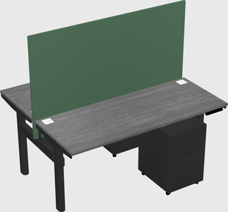 Shared electric desk