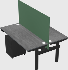 Shared electric desk