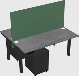 Shared electric desk