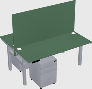 Shared electric desk