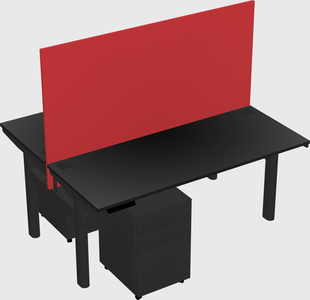 Shared electric desk