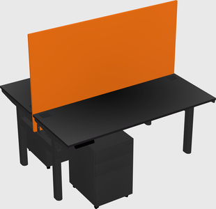 Shared electric desk