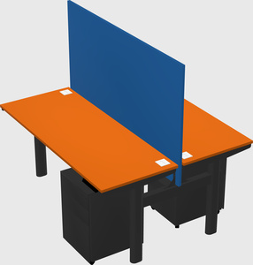 Shared electric desk